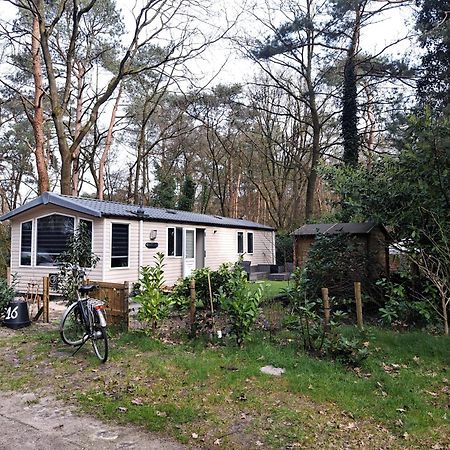 Ruim Chalet, Midden In Het Bos! Nunspeet Exterior foto